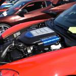 DSC_0072_00067 (October 14, 2023)